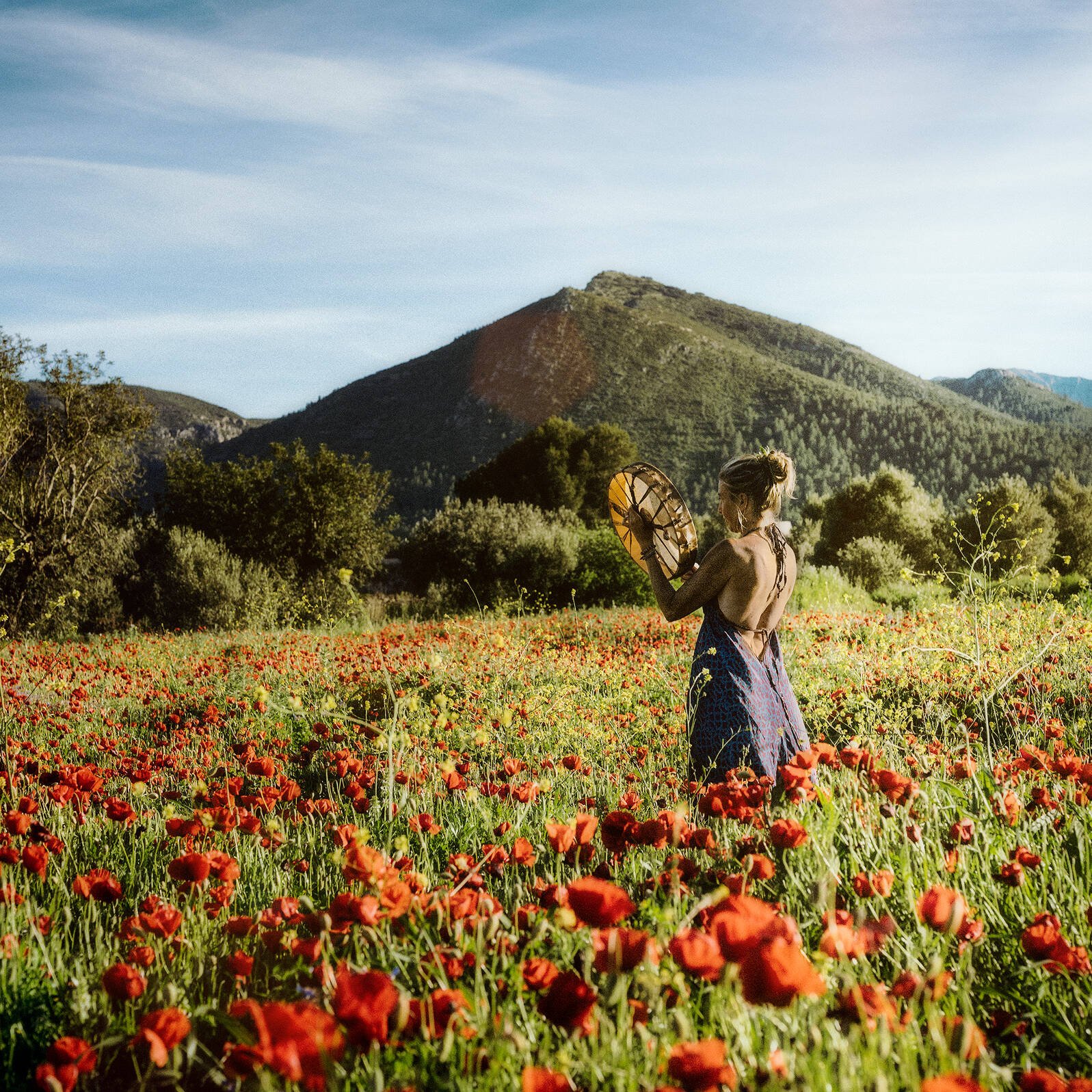 Intuition, Bauchgefühl, weibliche Selbstermächtigung, Frau steht inmitten einem feuerroten Mohnblumenfeld